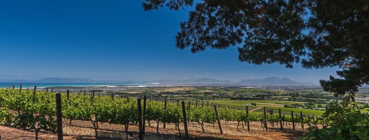 Longfield House Villa Stellenbosch Ngoại thất bức ảnh