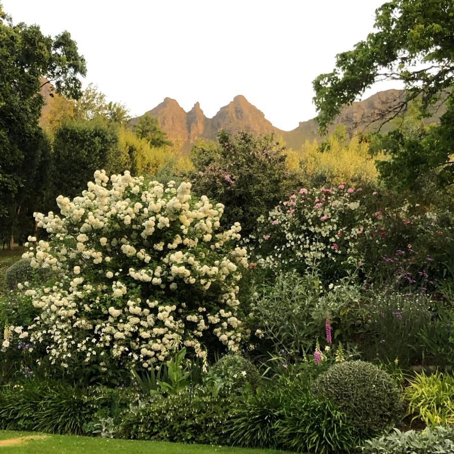 Longfield House Villa Stellenbosch Ngoại thất bức ảnh